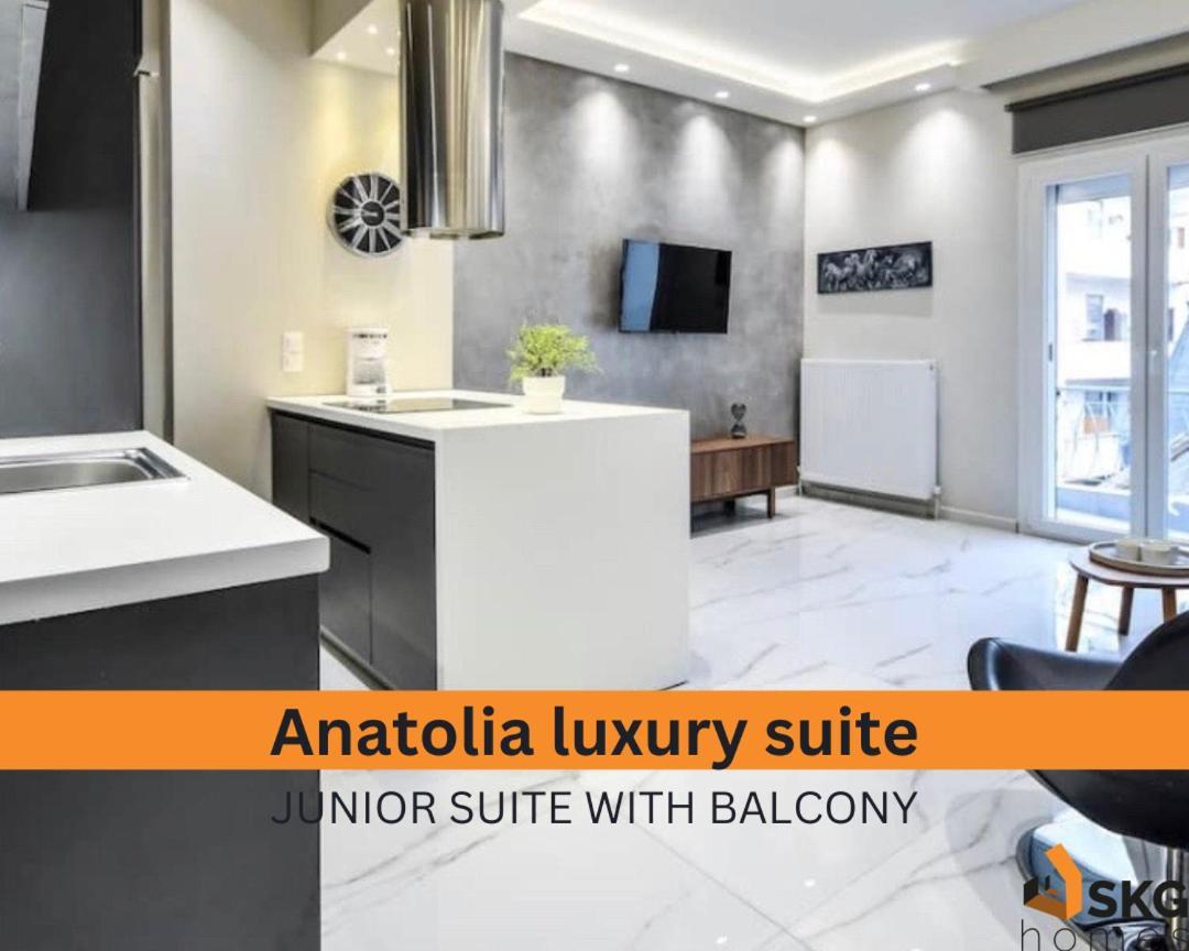 #skgh Anatolia & Amaryllis -nearhelexpo Appartement